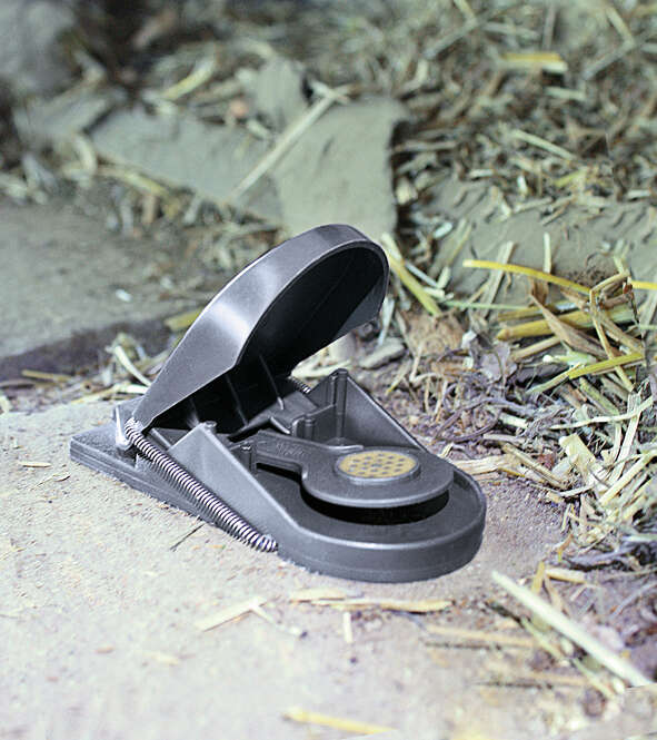 GÄRTNERGLÜCK Mausefalle SuperCat mit Köder